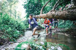 BIB: 
                            <button type="button" onclick="openModal(25451920)" class="btn btn-primary btn-sm float-right btn-popup" data-toggle="modal" data-target=".modal-high-quality">
                        <i class="fas fa-shopping-cart"></i> Add to Cart
                    </button>
                                            <button type="button" onclick="isThisMe(25451920, true)" class="btn btn-success btn-sm float-right btn-popup btn-isme hidden" data-toggle="tooltip" data-placement="bottom" title="นี่คือรูปของคุณใช่ไหม คลิกที่นี่เพื่อเอาเข้าอัลบั้ม">
                        <i class="fas fa-plus"></i> Add to album
                    </button>
                    <button type="button" onclick="isThisMe(25451920, false)" class="btn btn-warning btn-sm float-right btn-popup btn-isnotme hidden">
                        <i class="fas fa-ban"></i> Remove from album
                    </button>